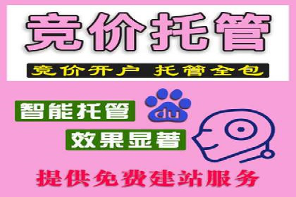 SEM竞价技巧：成功案例揭秘